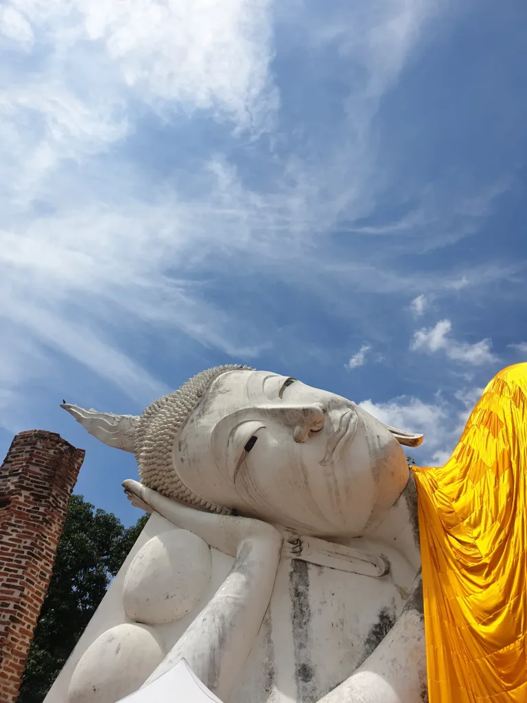 พระพักตร์พระนอน (ปี 2563)