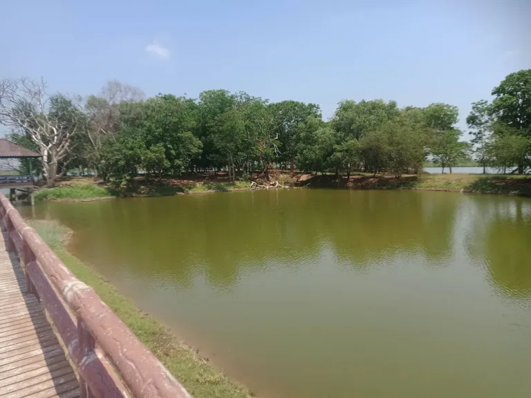 ท่าเรือบึงบอระเพ็ด (ปี 2569)