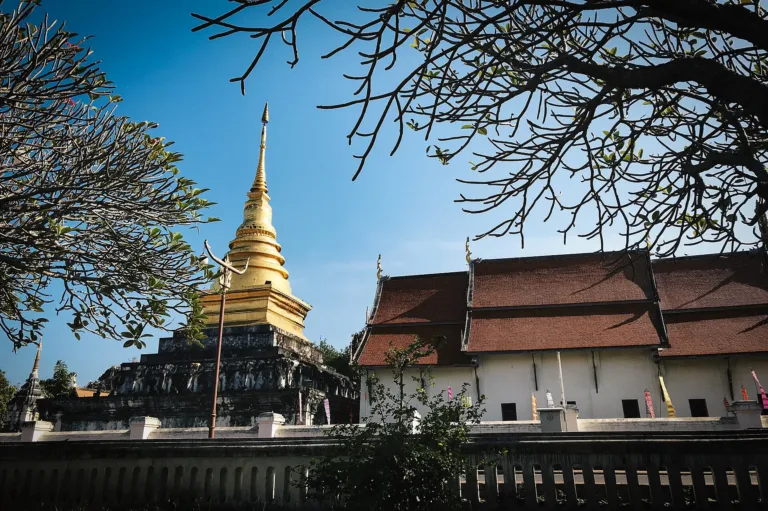 พระธาตุช้างค้ำกับต้นไม้ใหญ่