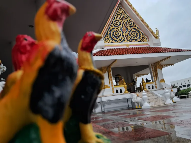 ศาลหลักเมืองร้อยเอ็ดบนเกาะกลางบึงพลาญชัย (ปี 2567)