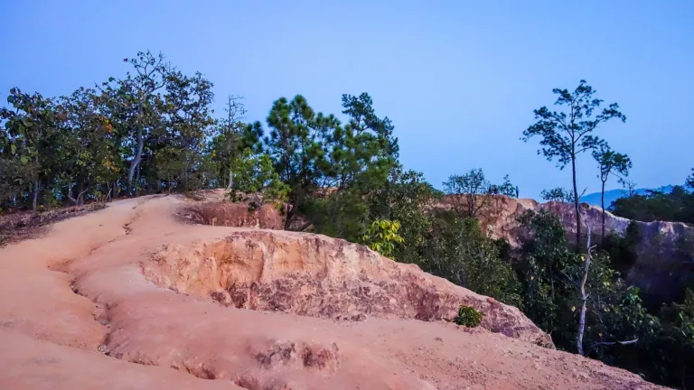 ลานดินบนสัน (ปี 2558)