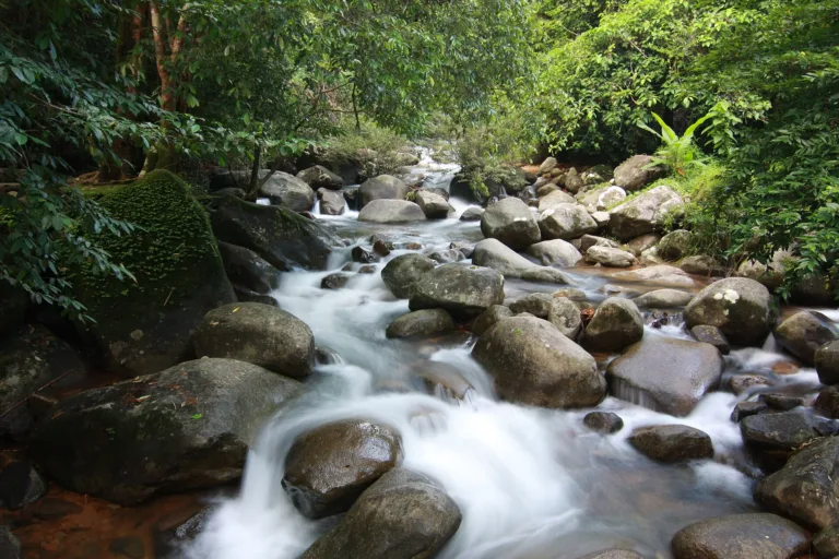 ทางเข้าอุทยานแห่งชาติน้ำตกพลิ้ว