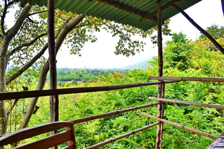 วิวจากจุดพักรถบนเส้นทางหนองบัวลำภู–อุดรธานี (ทล.210) ใกล้บ้านห้วยเดื่อ