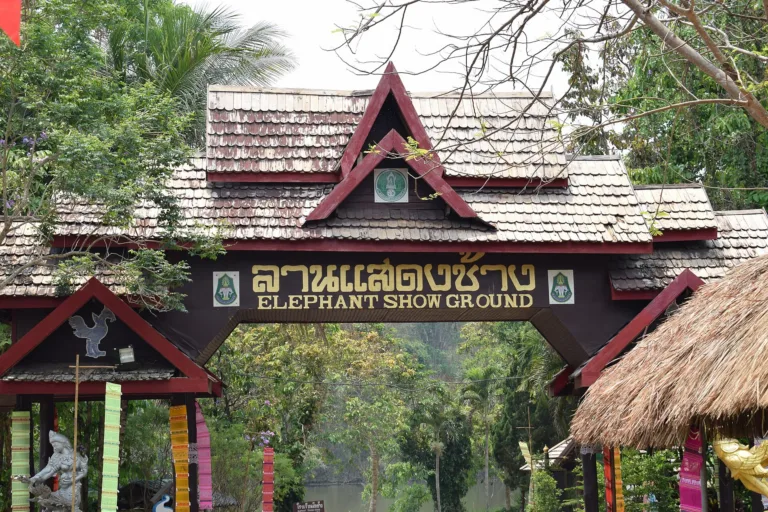 ลานแสดง