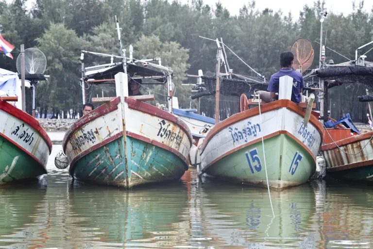 เรือประมงพื้นบ้านนราธิวาส ต้นแบบลวดลายเรือกอและ (ปี 2553)