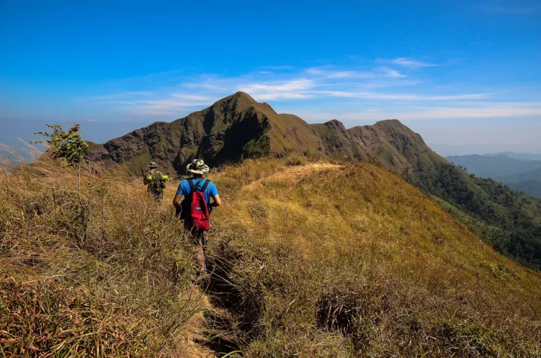 สันเขาบนเส้นทางเขาช้างเผือก (ปี 2557)