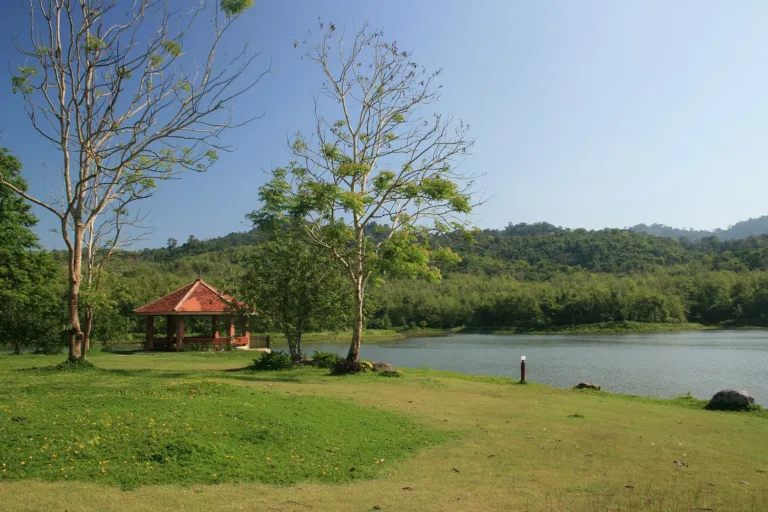 ทุ่งหญ้าริมน้ำ