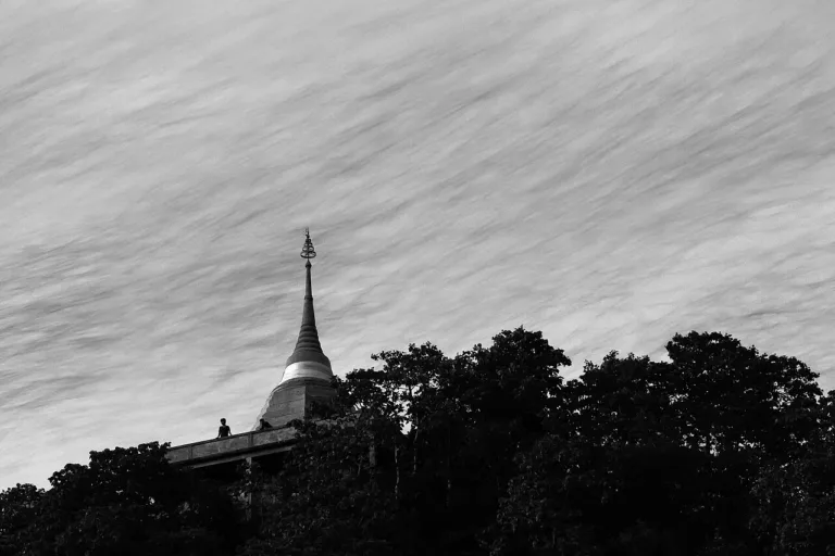 ฝูงค้างคาวบินออกจากถ้ำวัดเขาช่องพรานยามเย็น (ปี 2557)