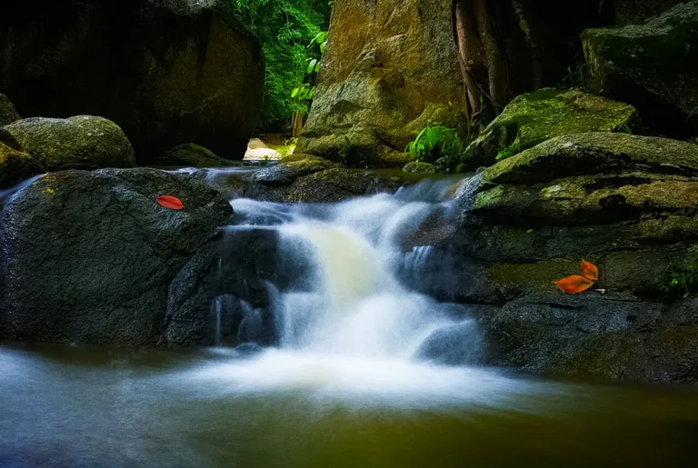 ลานหินกลางลำภาชี