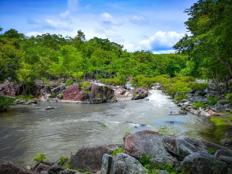 สายน้ำผ่านแก่งหิน