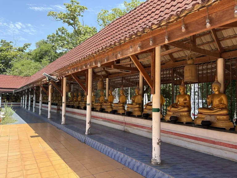 ศาลาในวัด (ปี 2569)